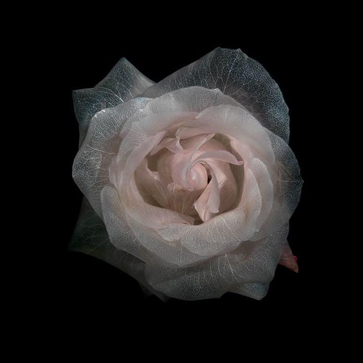 Twilight Serenade Garden Bouquet